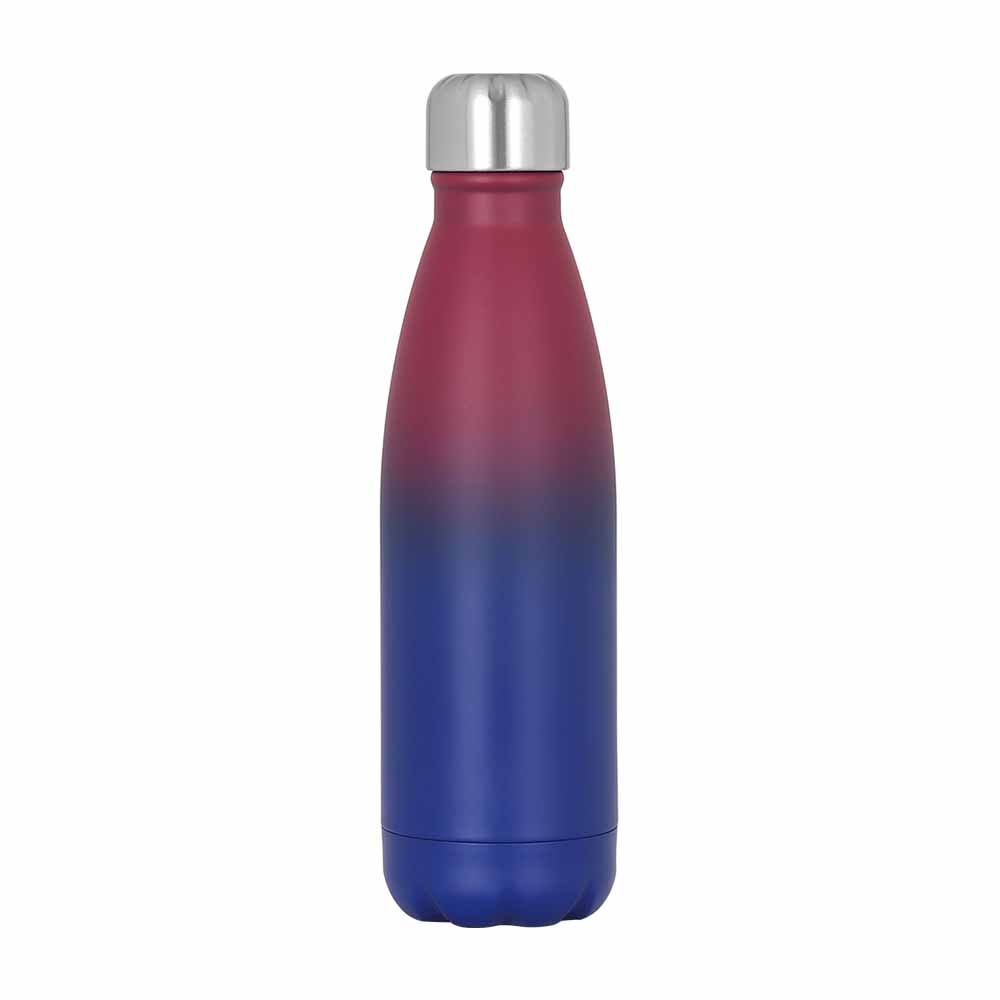 Custom Logo Printing Leak-Proof Sports Double Water Bottle Insulated Stainless Steel Flask