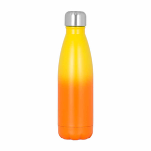 Custom Logo Printing Leak-Proof Sports Double Water Bottle Insulated Stainless Steel Flask